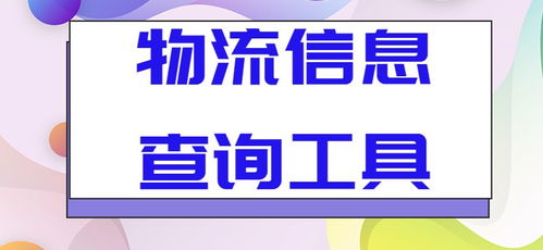 如何將批量查詢的物流信息高效導(dǎo)出到表格 咨詢服務(wù)的實用指南